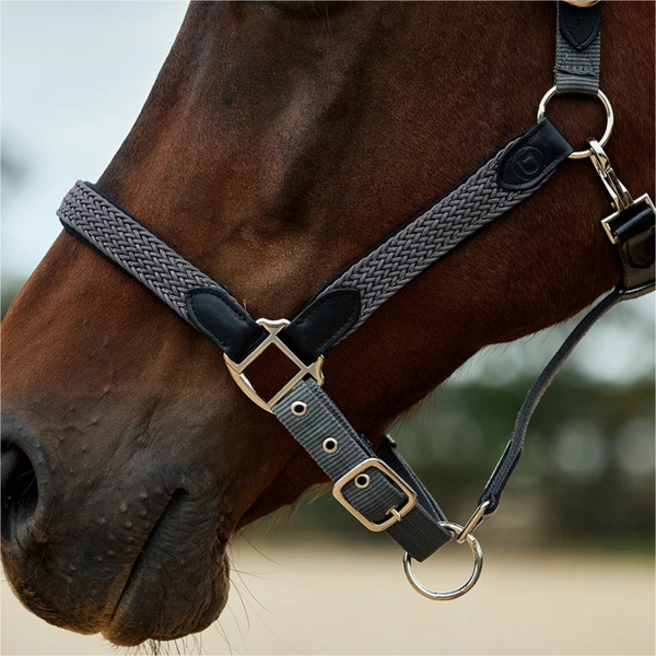 2026 Dublin Braided Leather Headcollar 1031532 - Charcoal